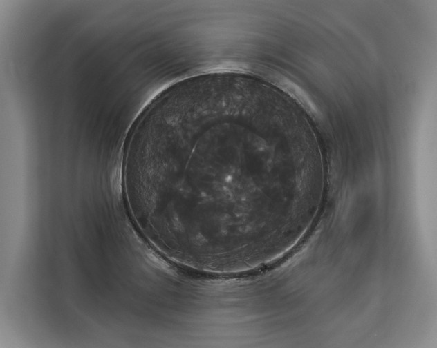 X0000113061228200908281128