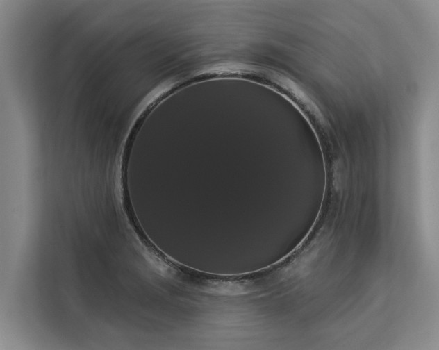 X0000113061229200908281128