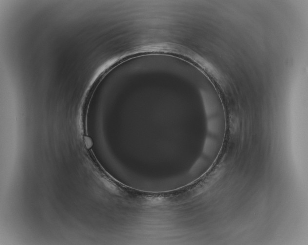 X0000113061230200908281128
