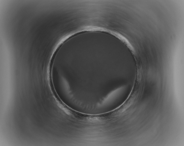 X0000113061231200908281128