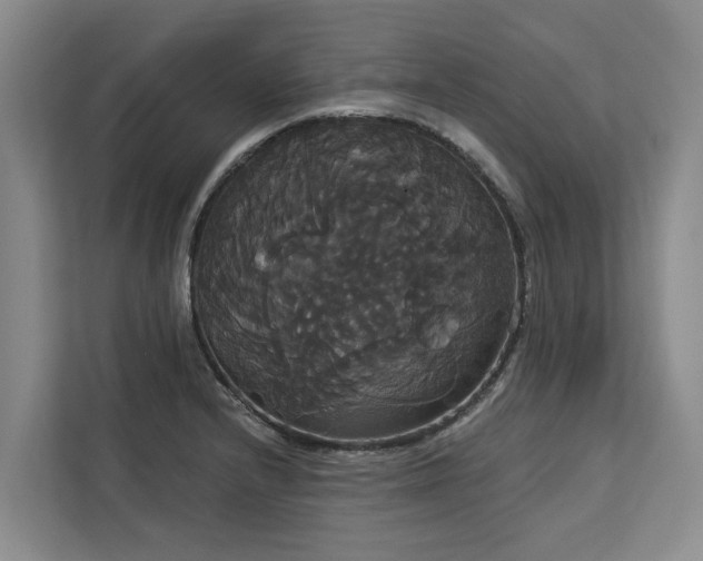X0000113061232200908281128