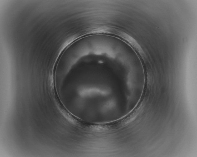 X0000113061234200908281128