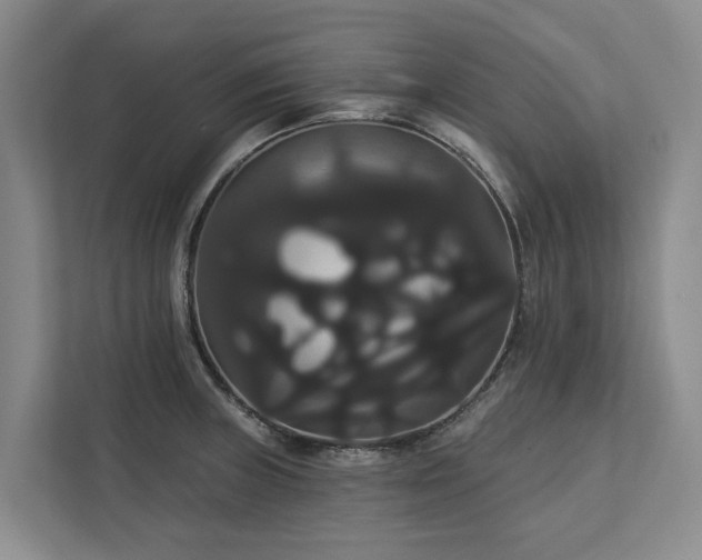 X0000113061235200908281128