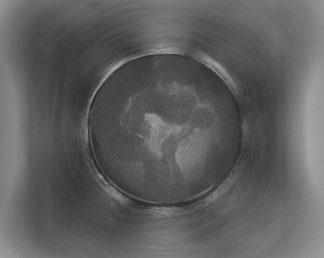 X0000113061236200908281128
