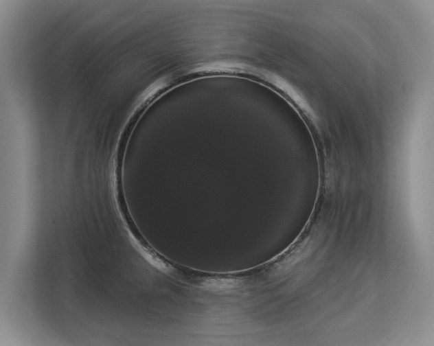 X0000113061237200908281128