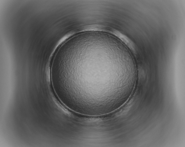 X0000113061238200908281128