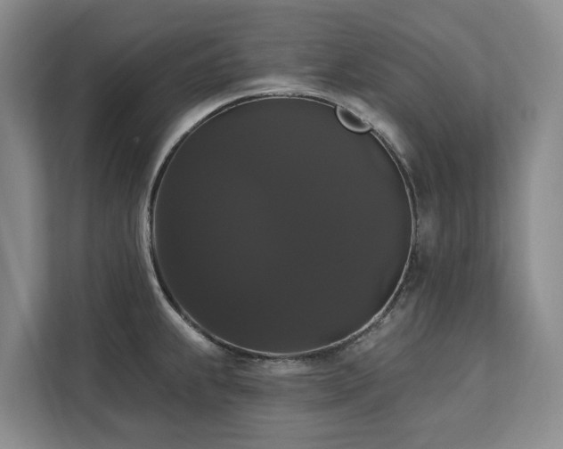 X0000113061239200908281128