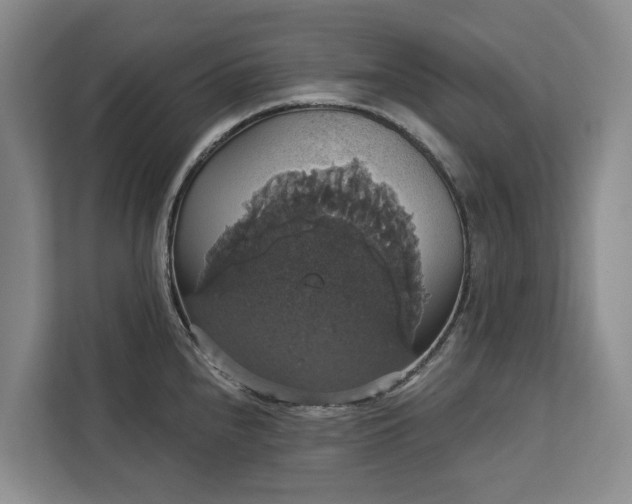 X0000113061240200908281128