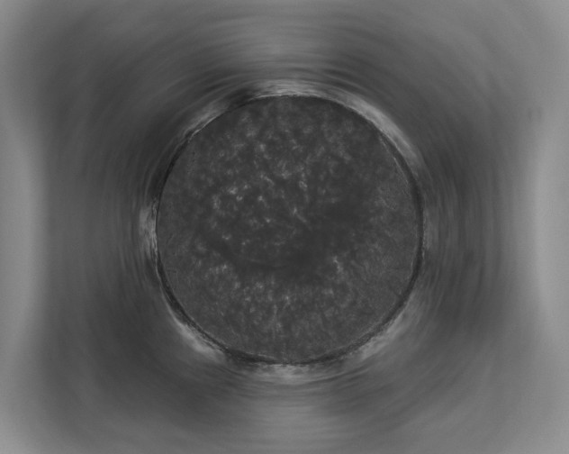 X0000113061241200908281128