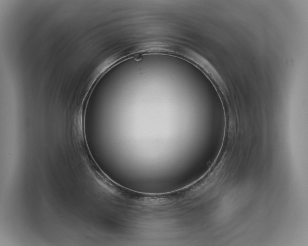 X0000113061242200908281128
