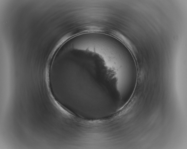 X0000113061243200908281128
