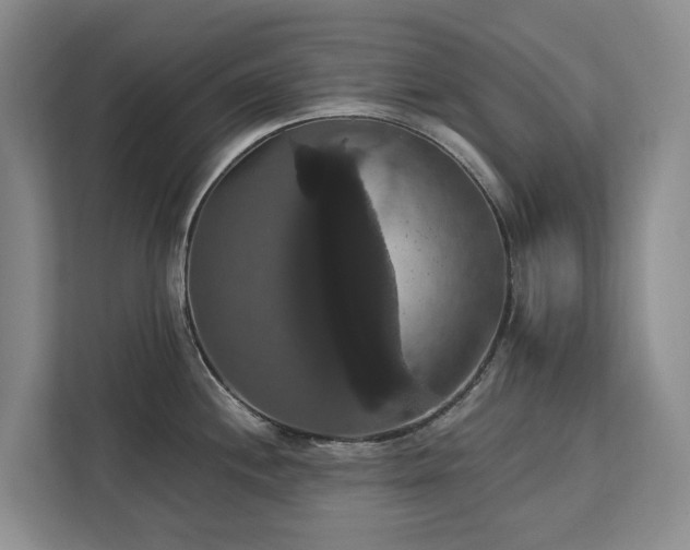 X0000113061244200908281128