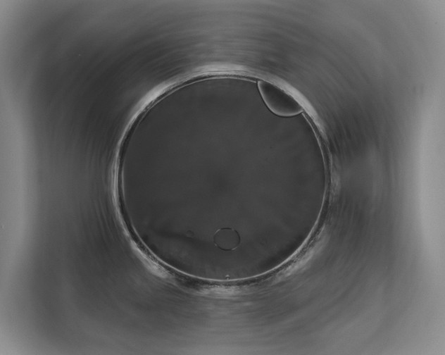 X0000113061245200908281128