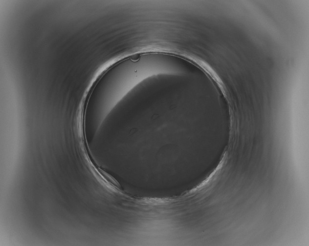 X0000113061246200908281128