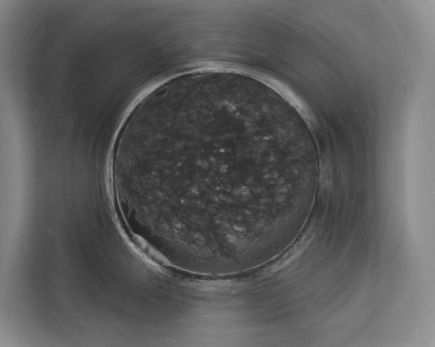 X0000113061247200908281128