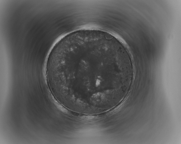 X0000113061248200908281128