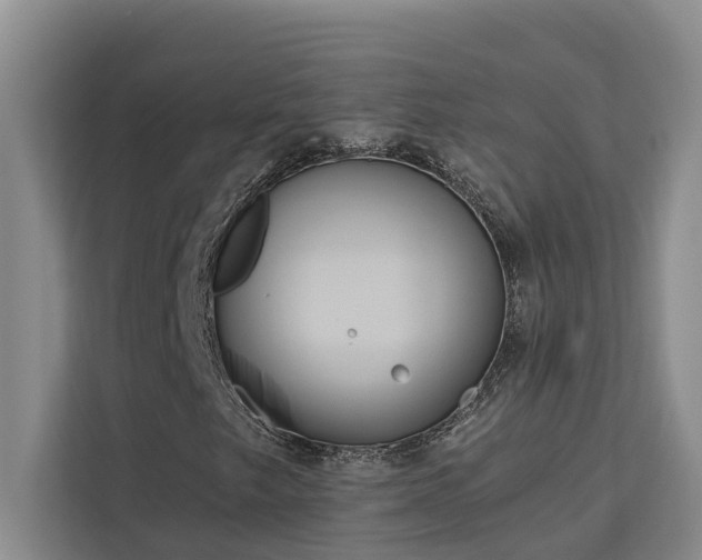 X0000113061249200908281127