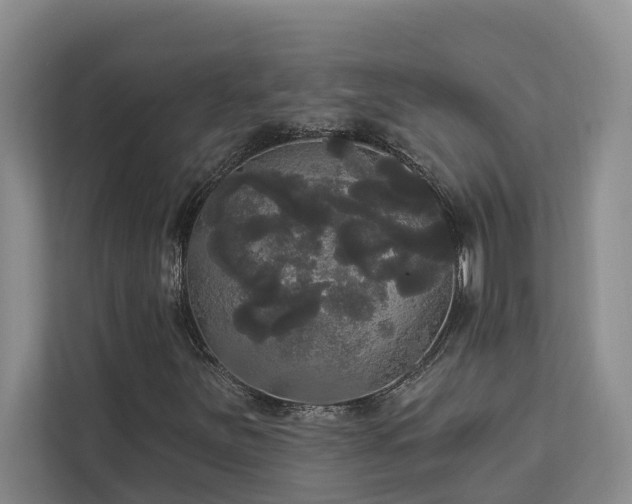 X0000113061251200908281127