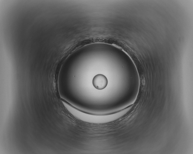 X0000113061252200908281127