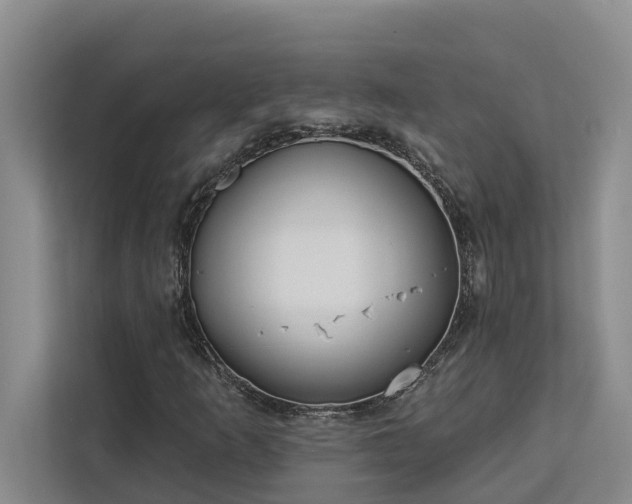 X0000113061253200908281127