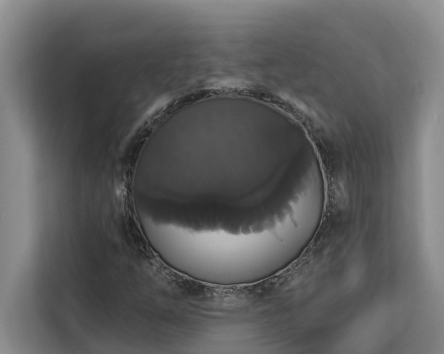 X0000113061254200908281127