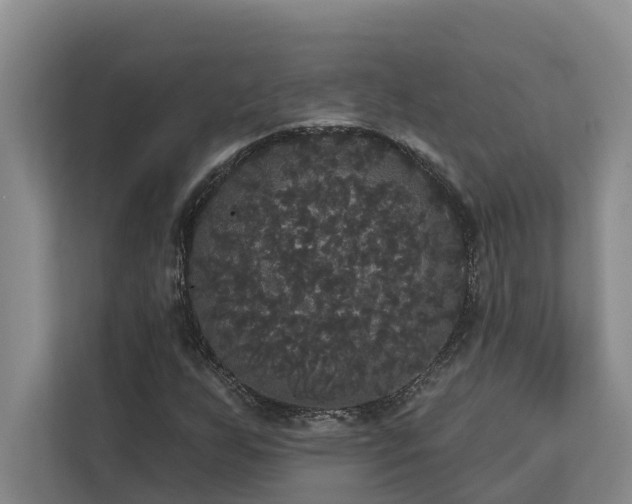 X0000113061255200908281127