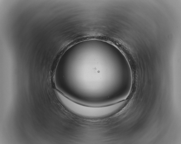 X0000113061257200908281127