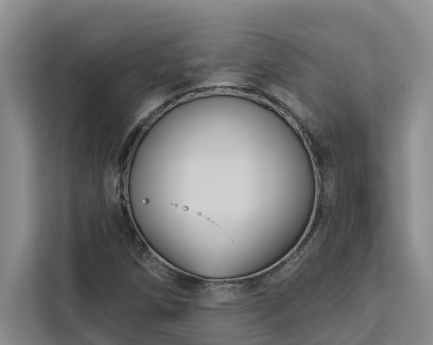 X0000113061258200908281127