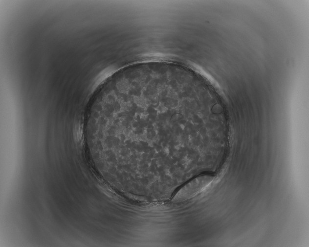 X0000113061259200908281127