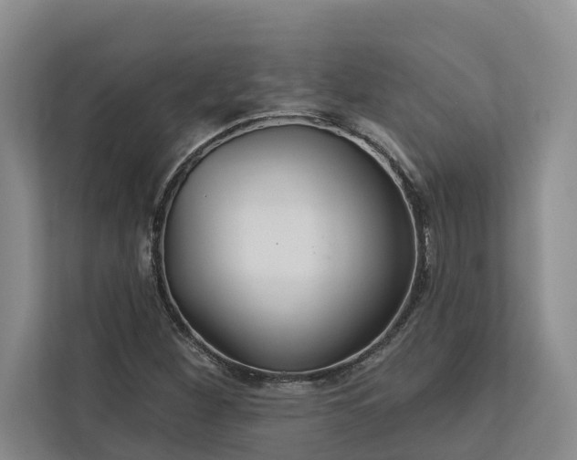 X0000113061260200908281127