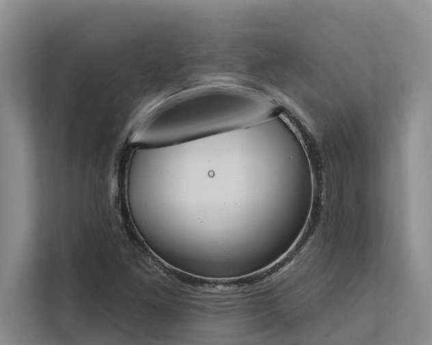 X0000113061261200908281127