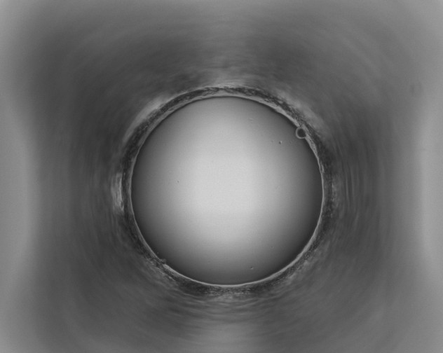X0000113061262200908281127