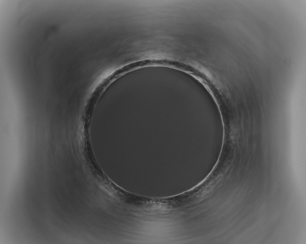 X0000113061263200908281127