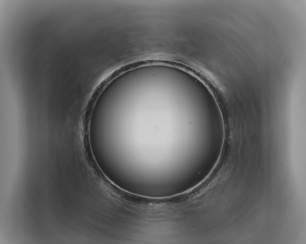 X0000113061264200908281127
