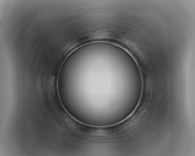 X0000113061265200908281127