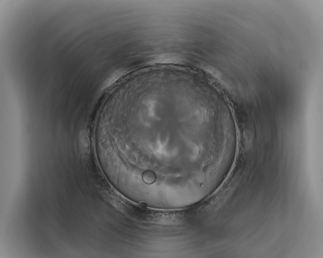 X0000113061266200908281127