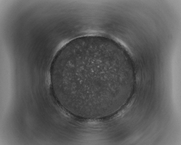 X0000113061267200908281127