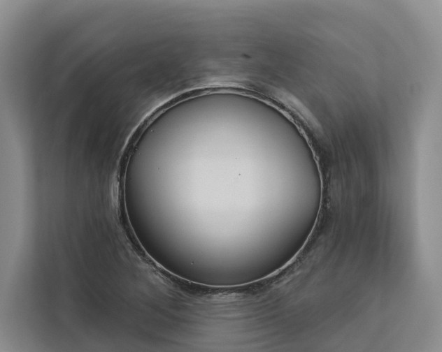 X0000113061268200908281127