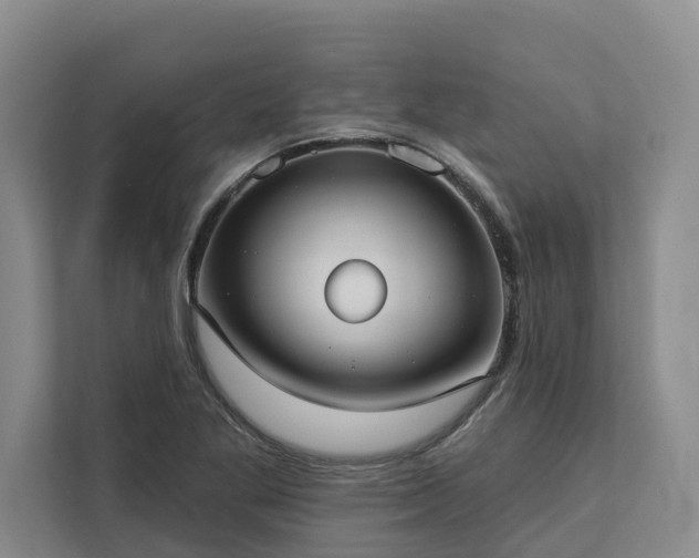 X0000113061269200908281127