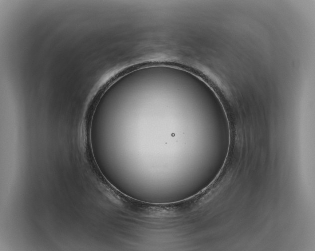 X0000113061270200908281127
