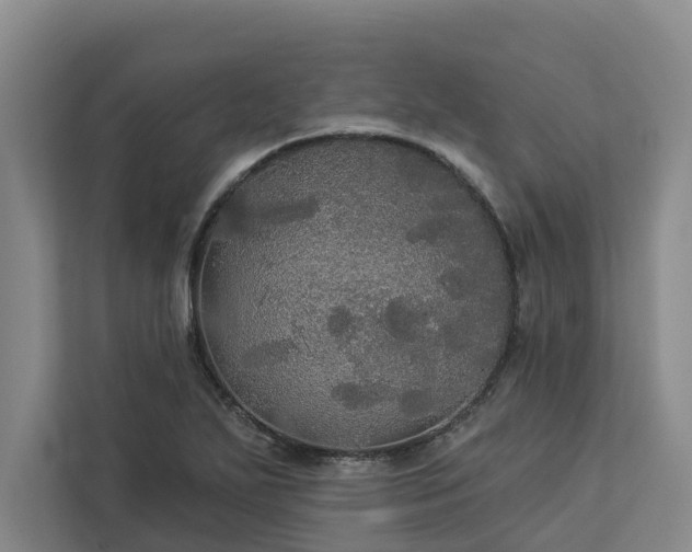 X0000113061271200908281127