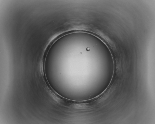X0000113061272200908281127