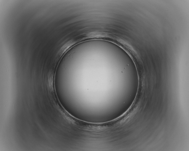 X0000113061273200908281127