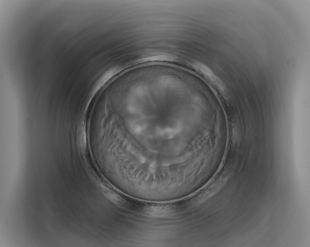 X0000113061274200908281127