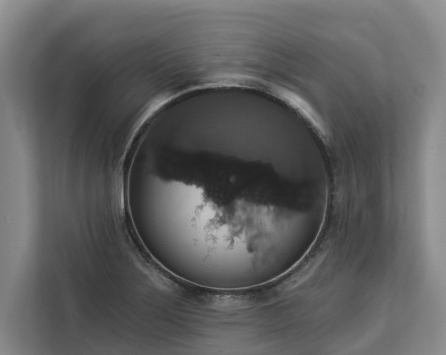 X0000113061275200908281127