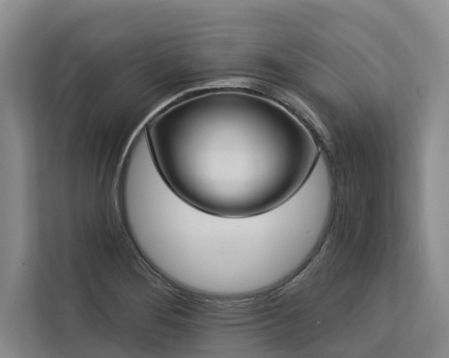 X0000113061276200908281127