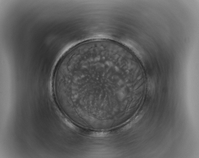 X0000113061278200908281127