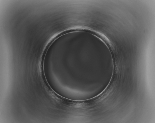 X0000113061279200908281127