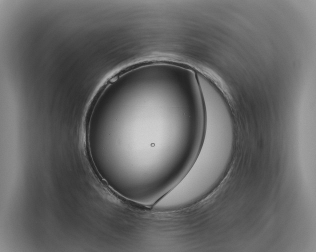 X0000113061280200908281127