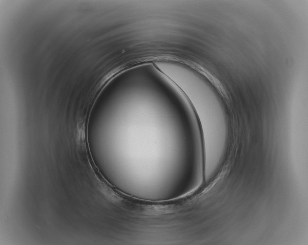 X0000113061281200908281127